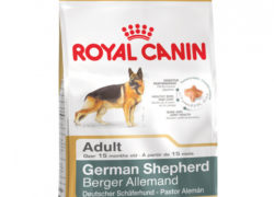 Корм для собак ROYAL CANIN German Shepherd 24 для породы Немецкая овчарка старше 15 месяцев
